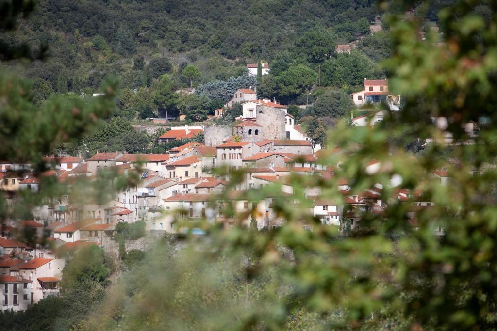 La Pinede Otel Amélie-les-Bains-Palalda Oda fotoğraf